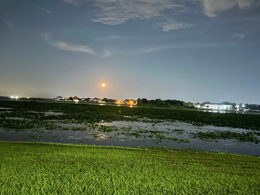 1206 W Lake Parker Drive Lakeland FL 33805 - LAKE PARKER L4955589 image3