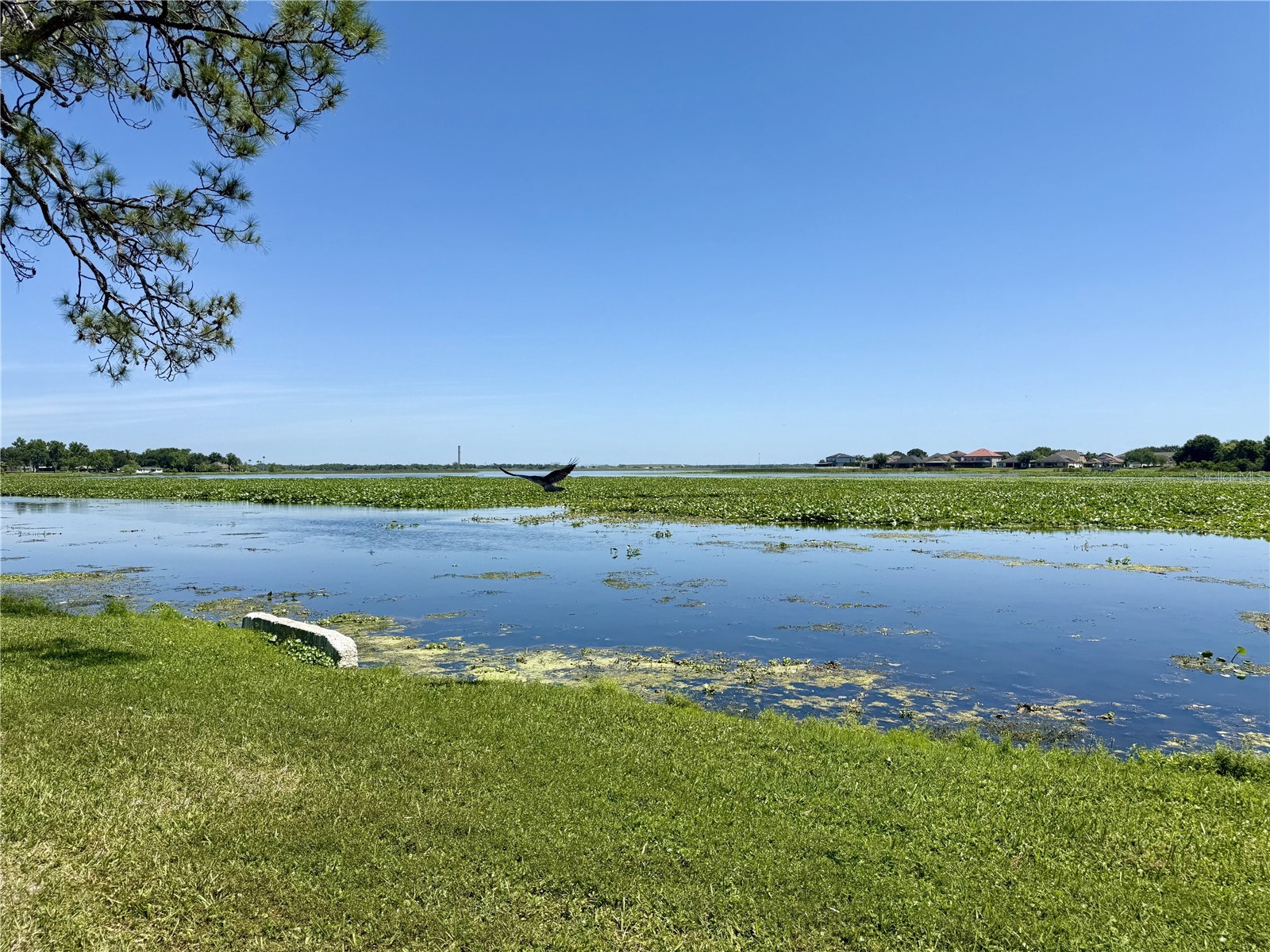 1206 W Lake Parker Drive Lakeland FL 33805 L4961071 image2