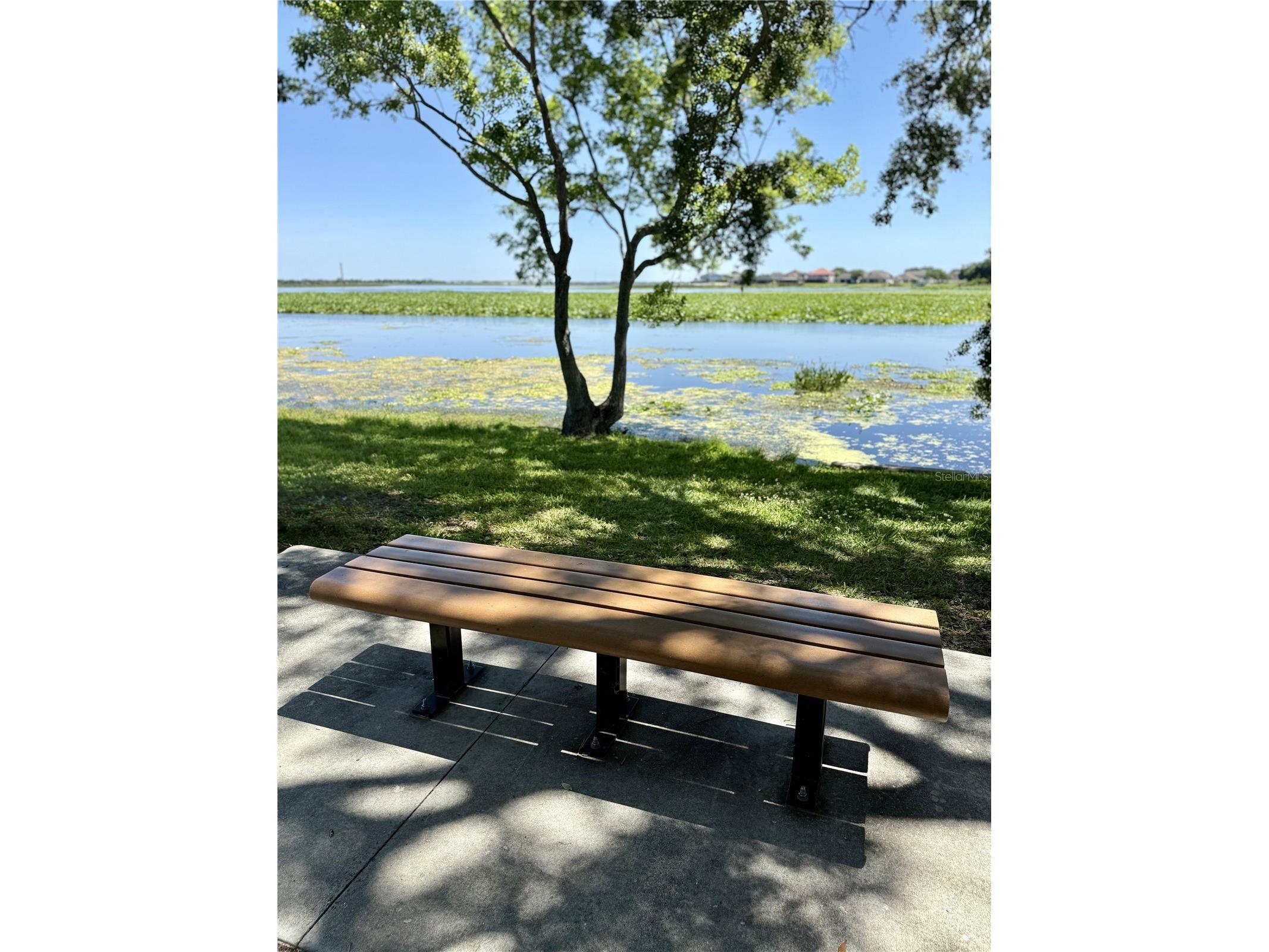 1206 W Lake Parker Drive Lakeland FL 33805 L4961071 image27