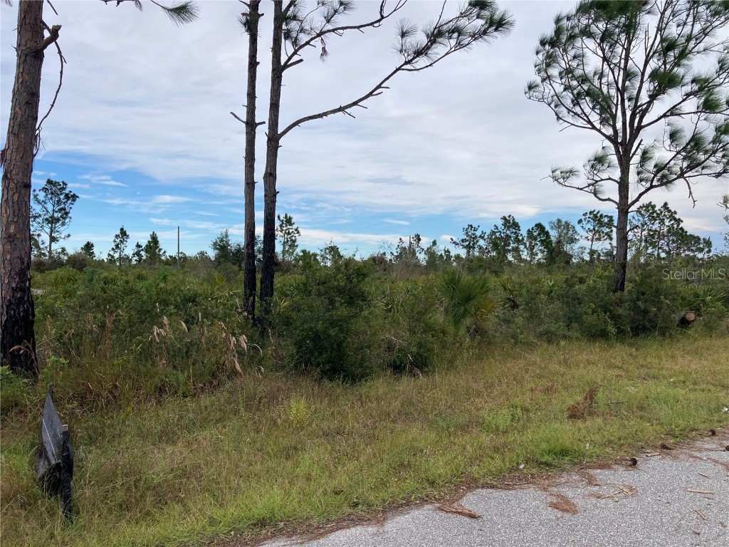 12060 Karney Avenue Port Charlotte FL 33981 A4556269 image1