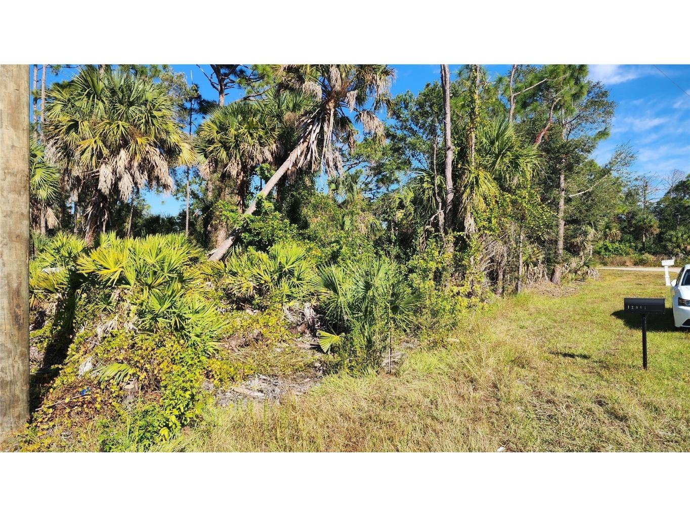 12062 Coleman Avenue Port Charlotte FL 33981 C7518110 image8