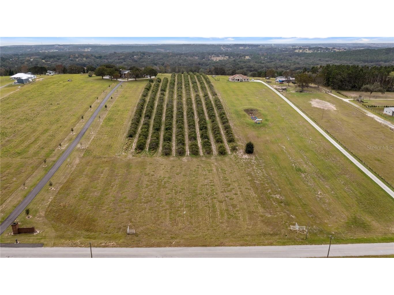 12066 Bruce Hunt Road Clermont FL 34715 G5063559 image1