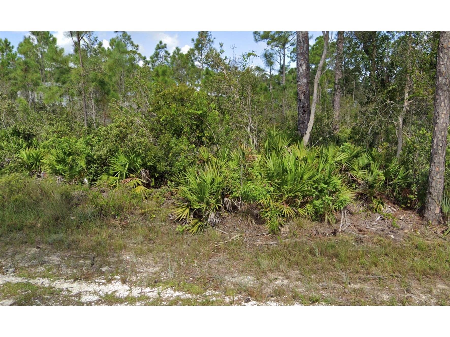 12067 Platano Drive Punta Gorda FL 33955 J1003014 image1