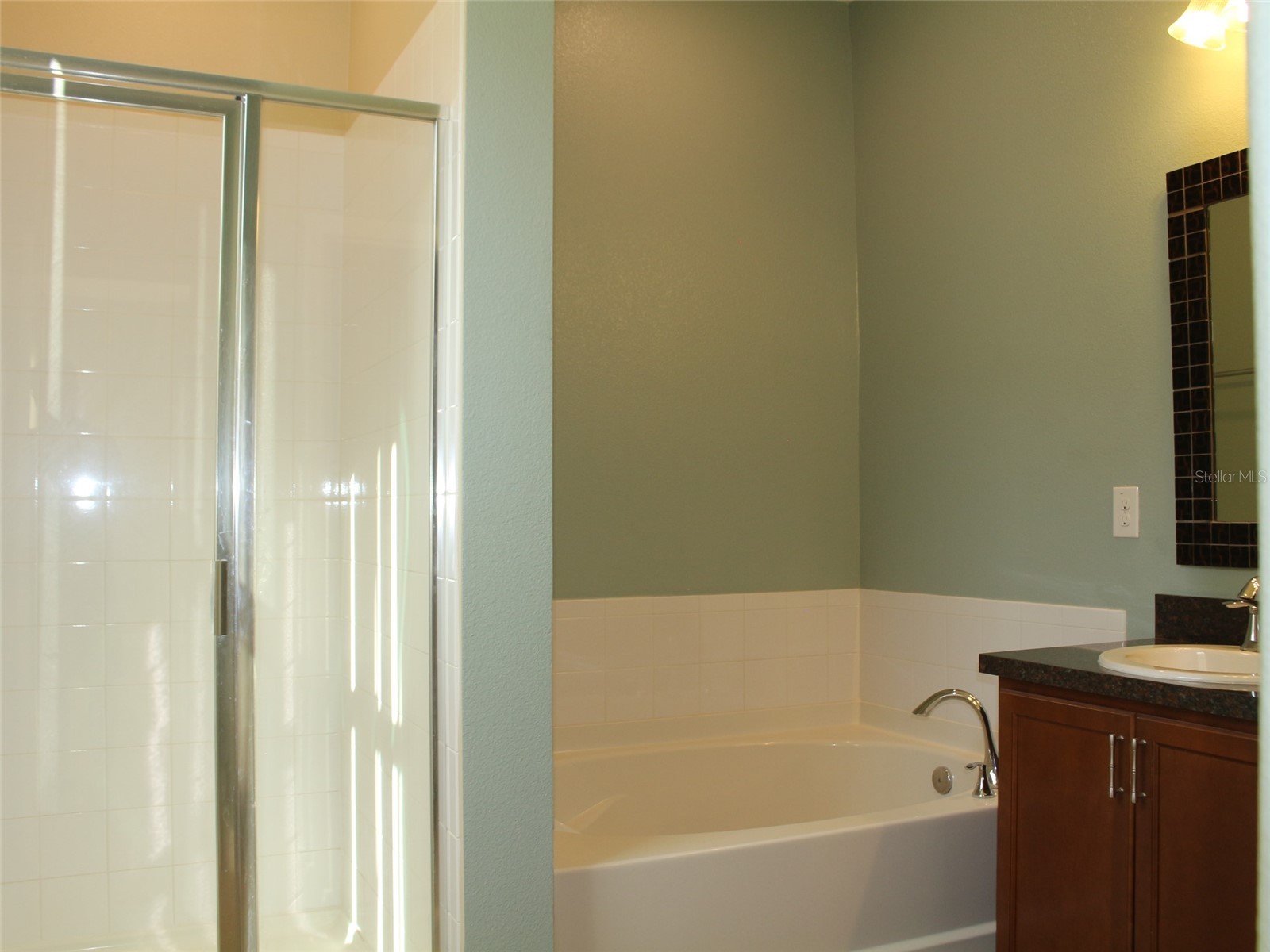 12067 Sumter Drive Orlando FL 32824 O6408211 image24