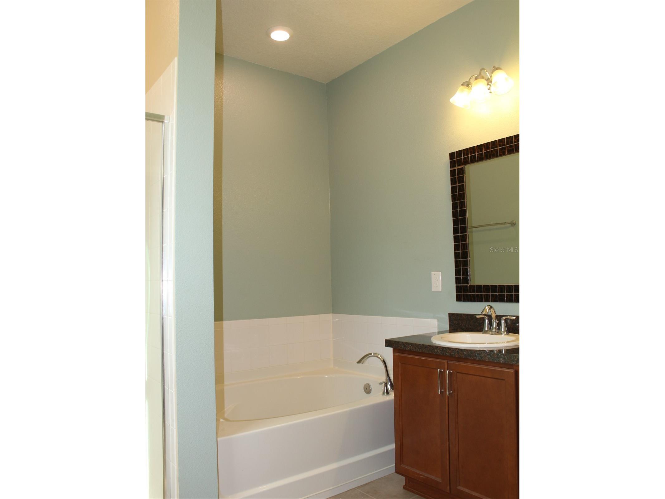 12067 Sumter Drive Orlando FL 32824 O6408211 image25