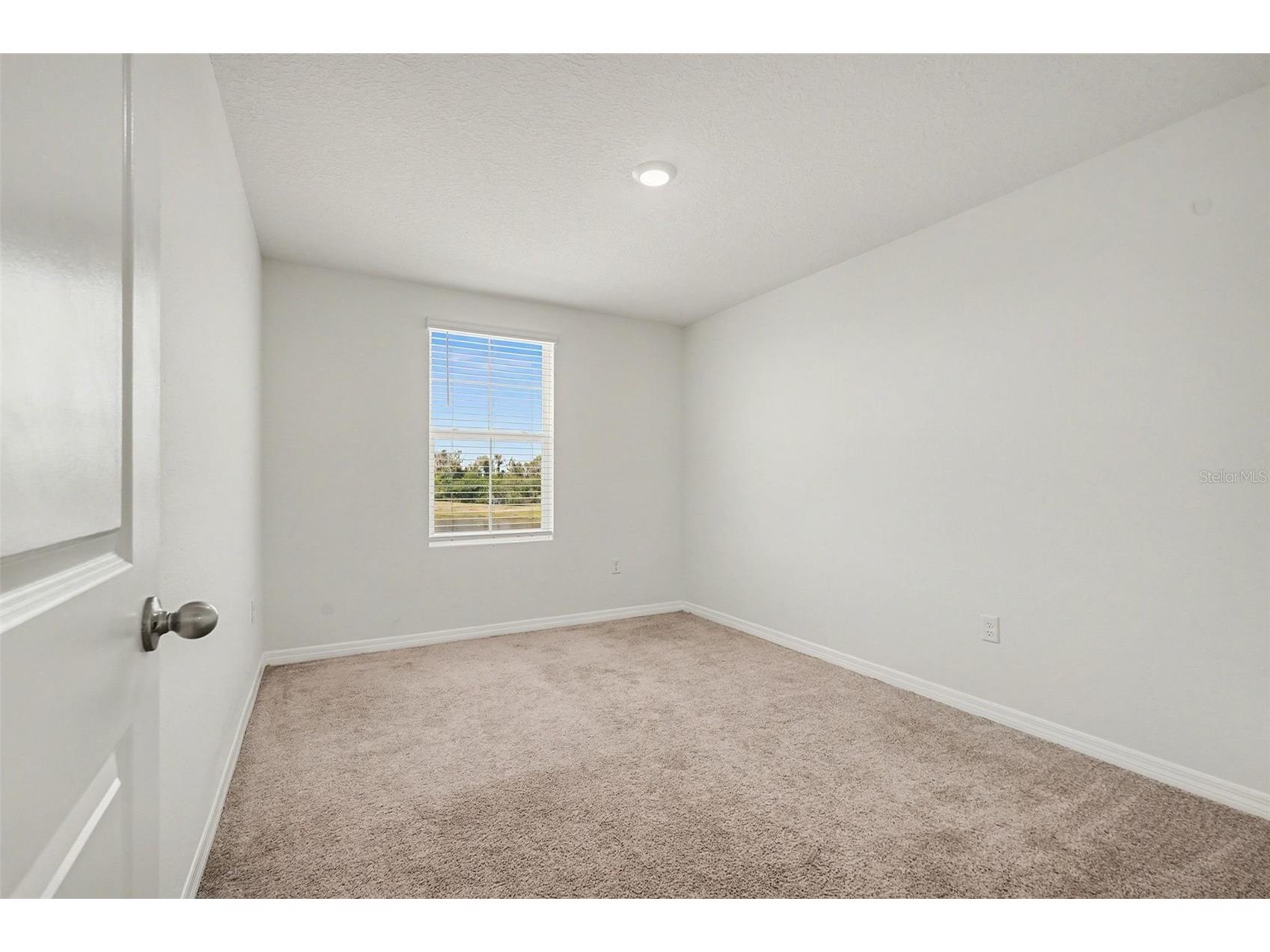 12068 Downy Birch Drive Riverview FL 33569 TB8489319 image23