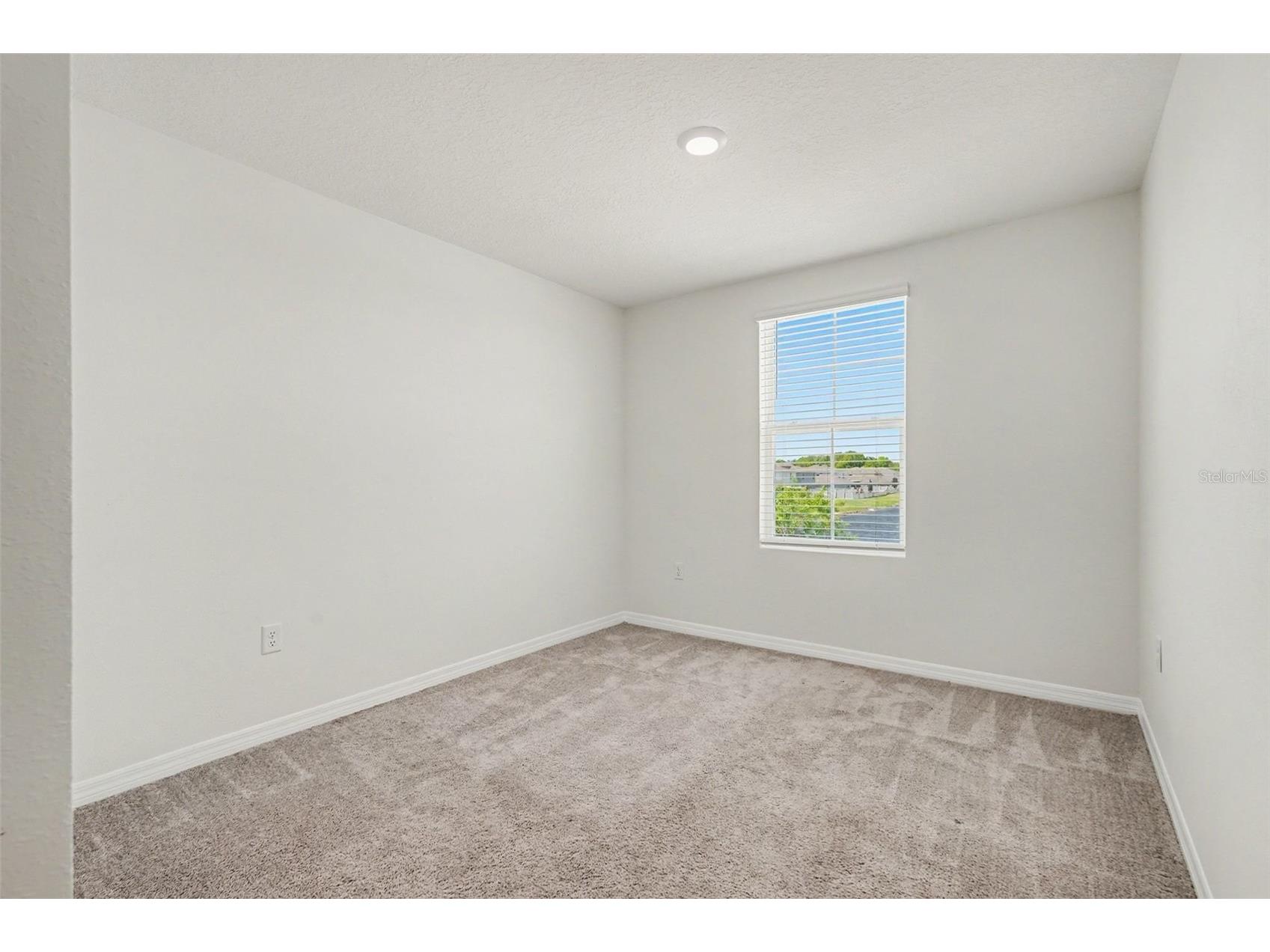 12068 Downy Birch Drive Riverview FL 33569 TB8489319 image25