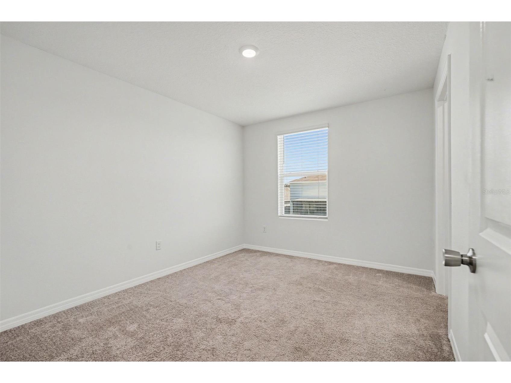 12068 Downy Birch Drive Riverview FL 33569 TB8489319 image30