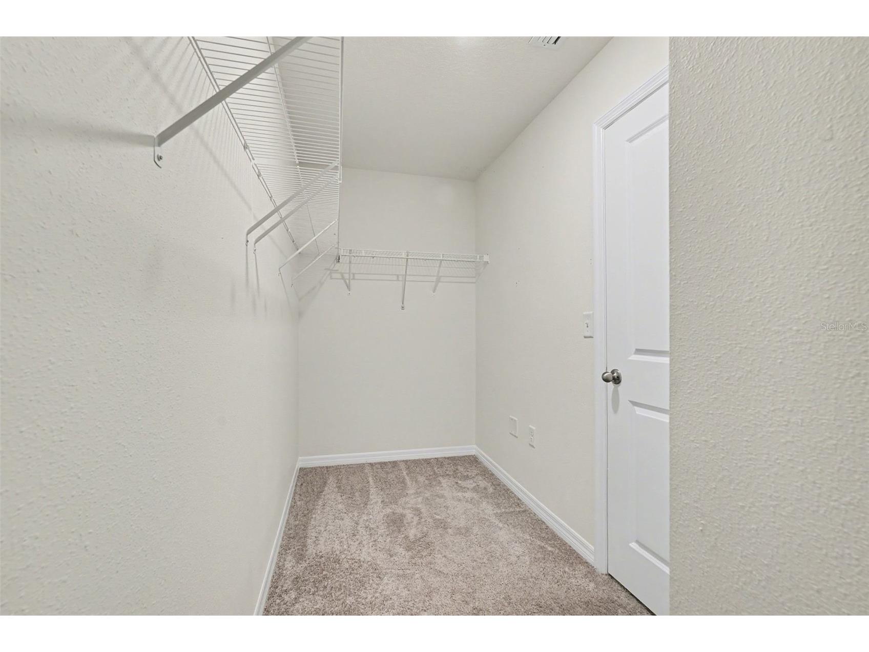 12068 Downy Birch Drive Riverview FL 33569 TB8489319 image35