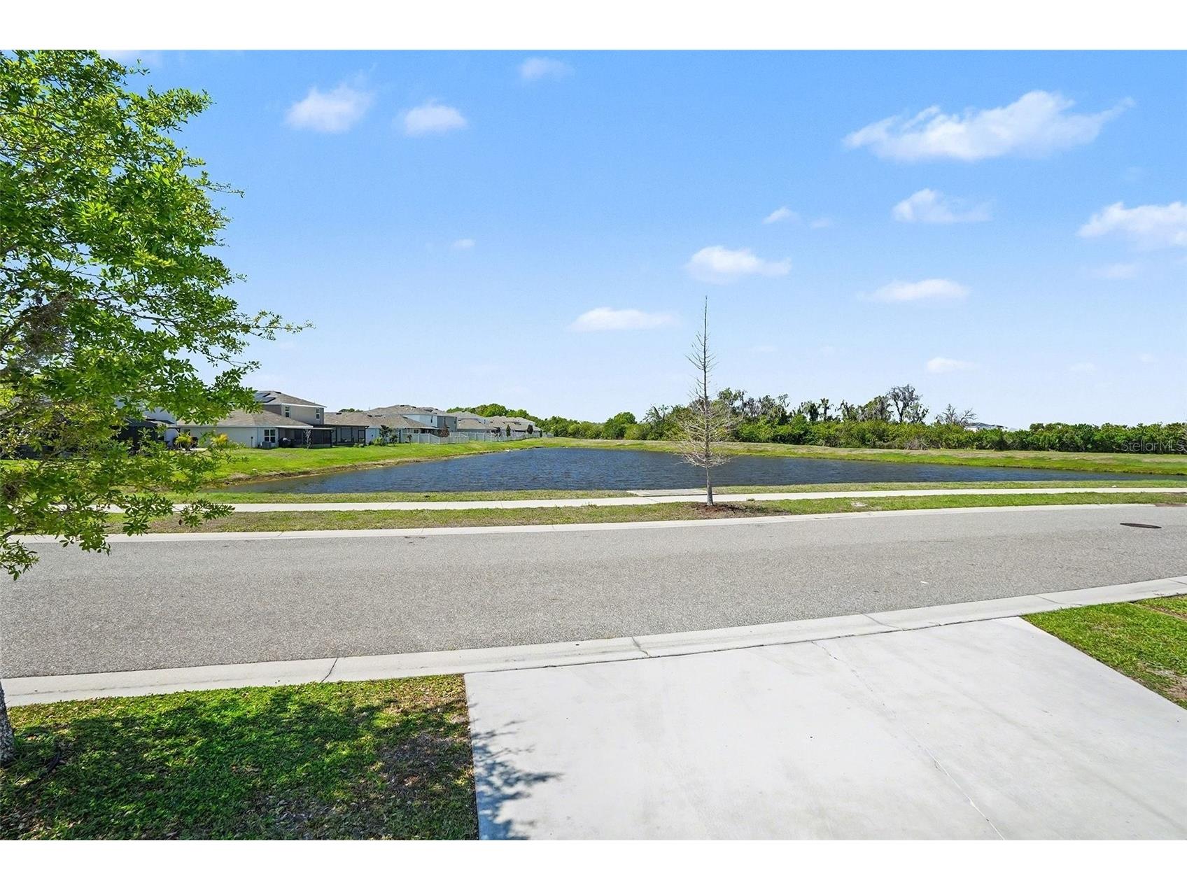 12068 Downy Birch Drive Riverview FL 33569 TB8489319 image39