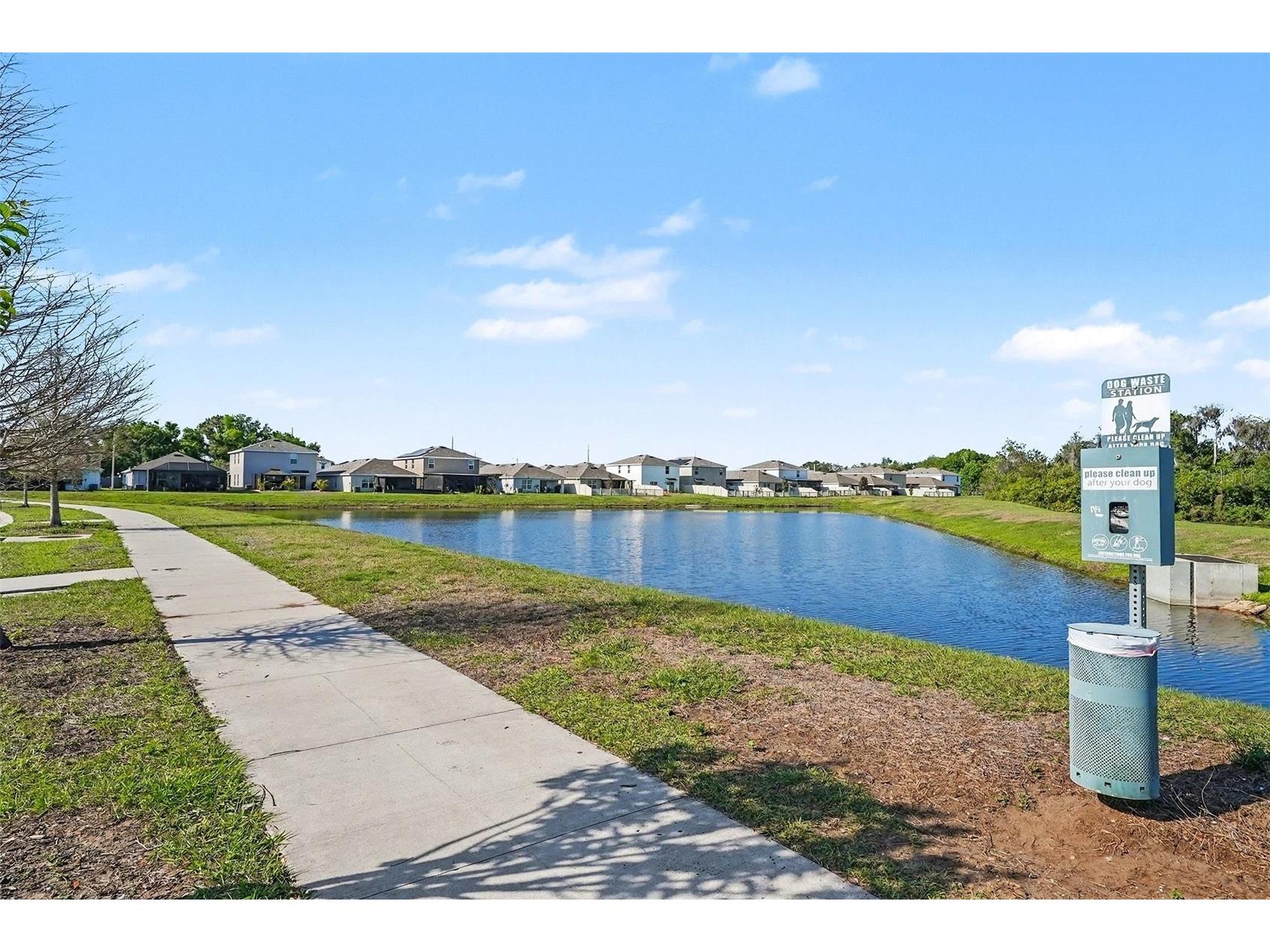 12068 Downy Birch Drive Riverview FL 33569 TB8489319 image40