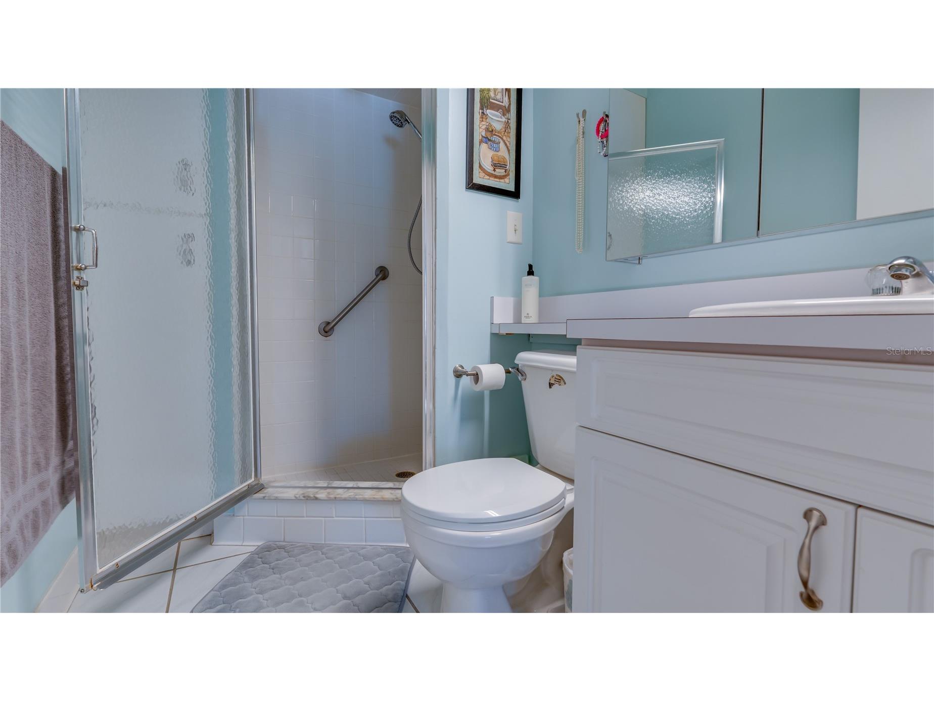 1207 11th Circle SE #128 Largo FL 33771 TB8522920 image37