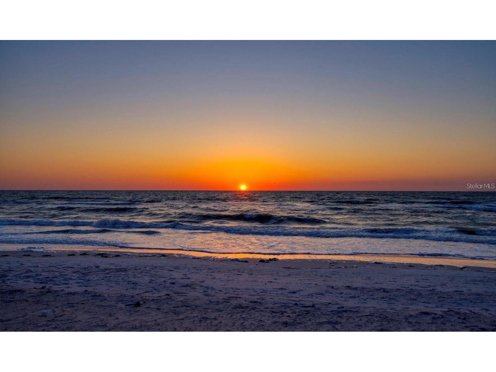 1207 1st Street Indian Rocks Beach FL 33785 TB8513968 image56