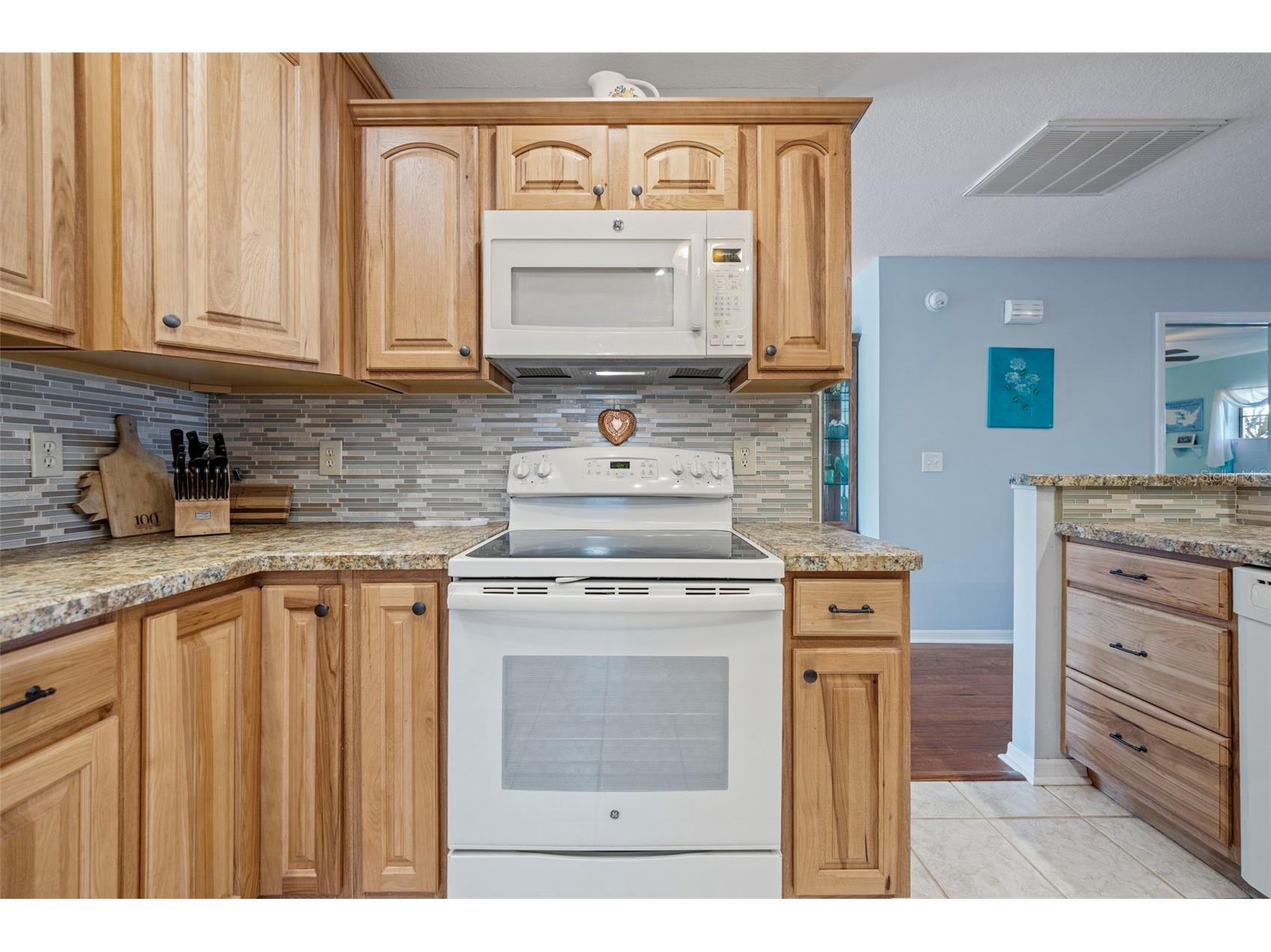 1207 Bluewater Drive Sun City Center FL 33573 TB8470244 image16