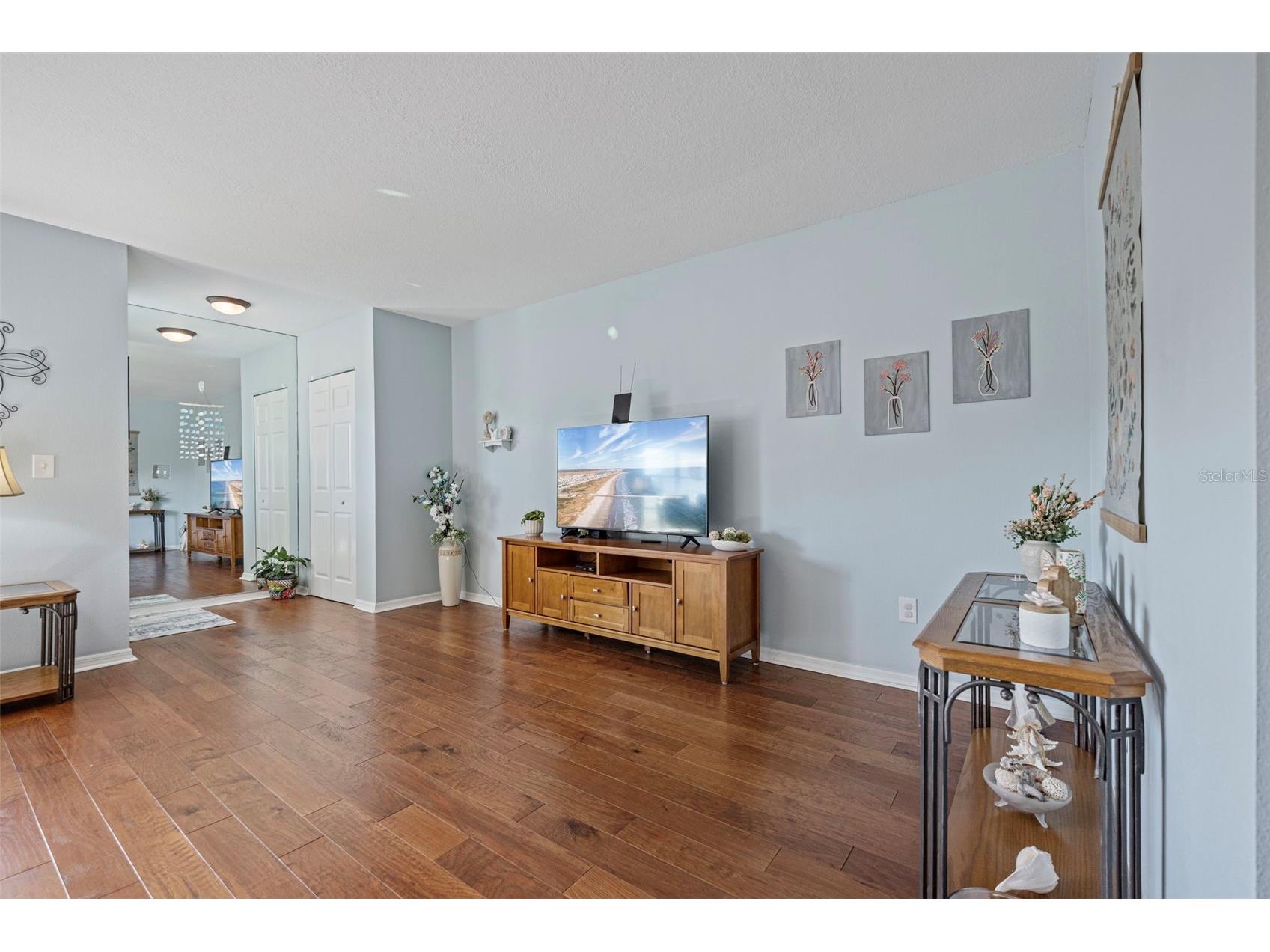 1207 Bluewater Drive Sun City Center FL 33573 TB8470244 image9