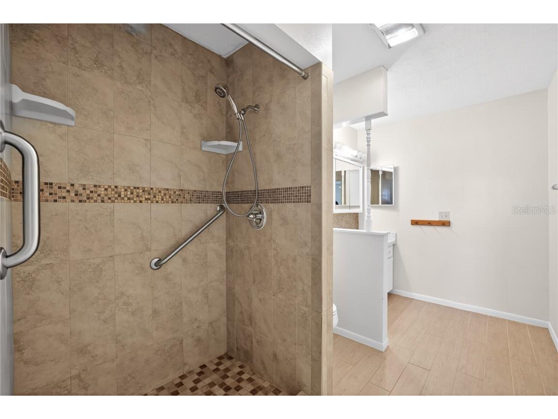 1207 Eastloch Court Sun City Center FL 33573 TB8447142 image24