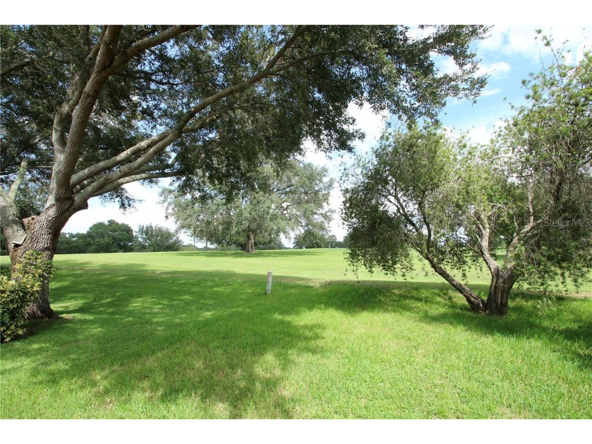 1207 Greenley Avenue Groveland FL 34736 O6359023 image45