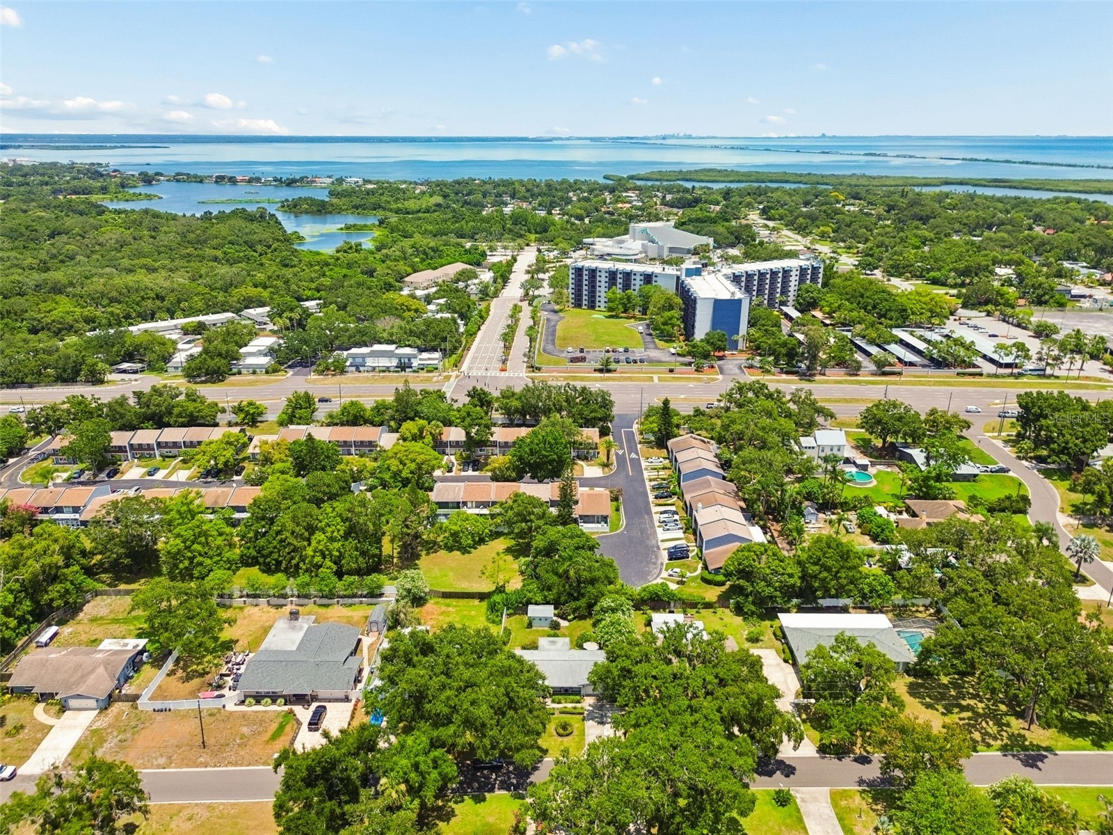 1207 Kapok Circle Clearwater FL 33759 TB8524865 image57