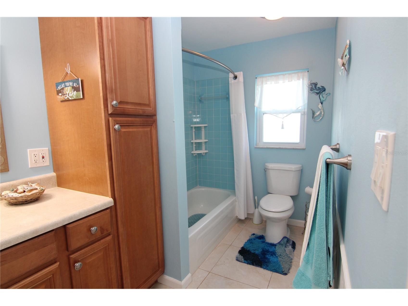1207 Lakehouse Court #1207 Sun City Center FL 33573 TB8502251 image18