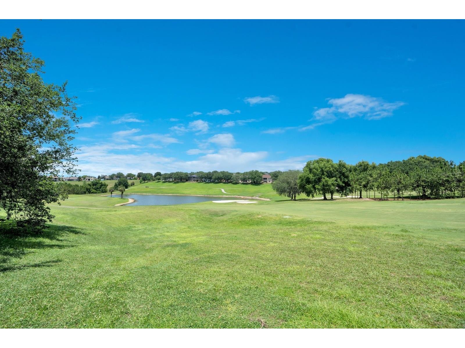 1207 Legendary Boulevard Clermont FL 34711 O6413695 image3