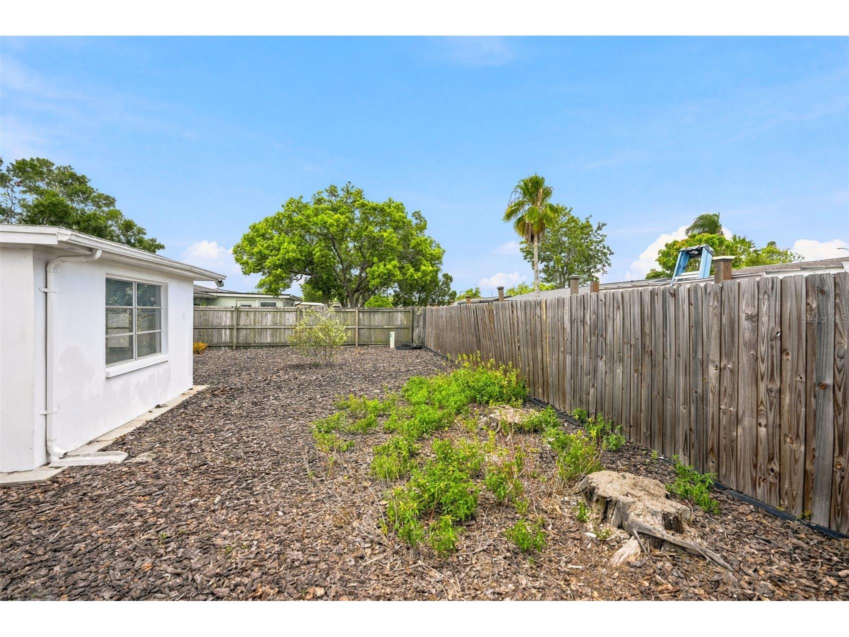 1207 Lodestar Drive Holiday FL 34690 W7887222 image21