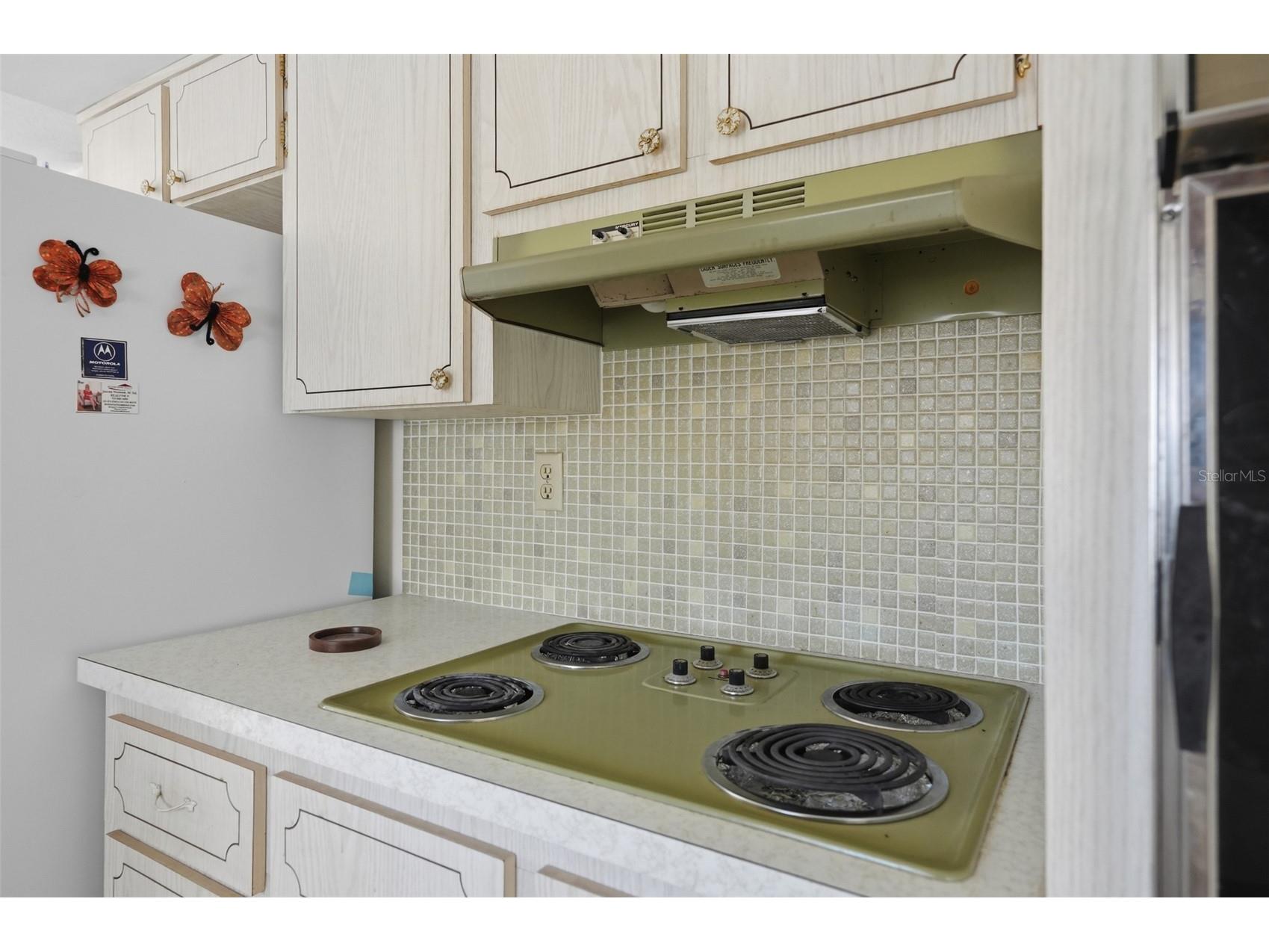 1207 Lodestar Drive Holiday FL 34690 W7887222 image5