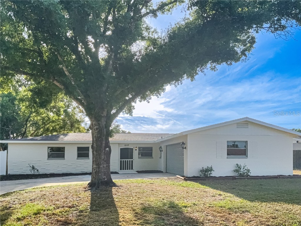 1207 Lorie Circle Brandon FL 33510 O6302481 image1