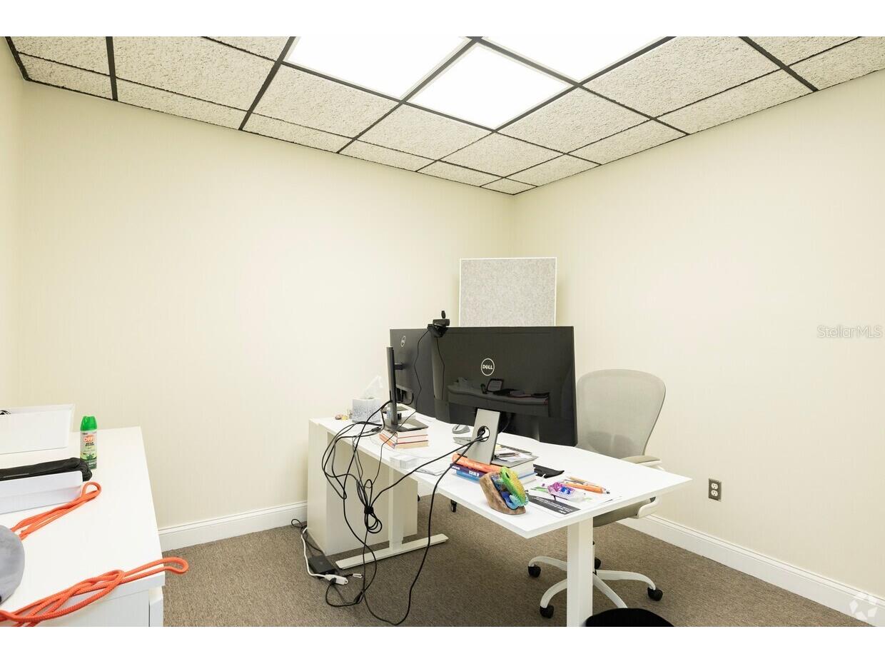 1207 N Himes Avenue #2 Tampa FL 33607 TB8424777 image11