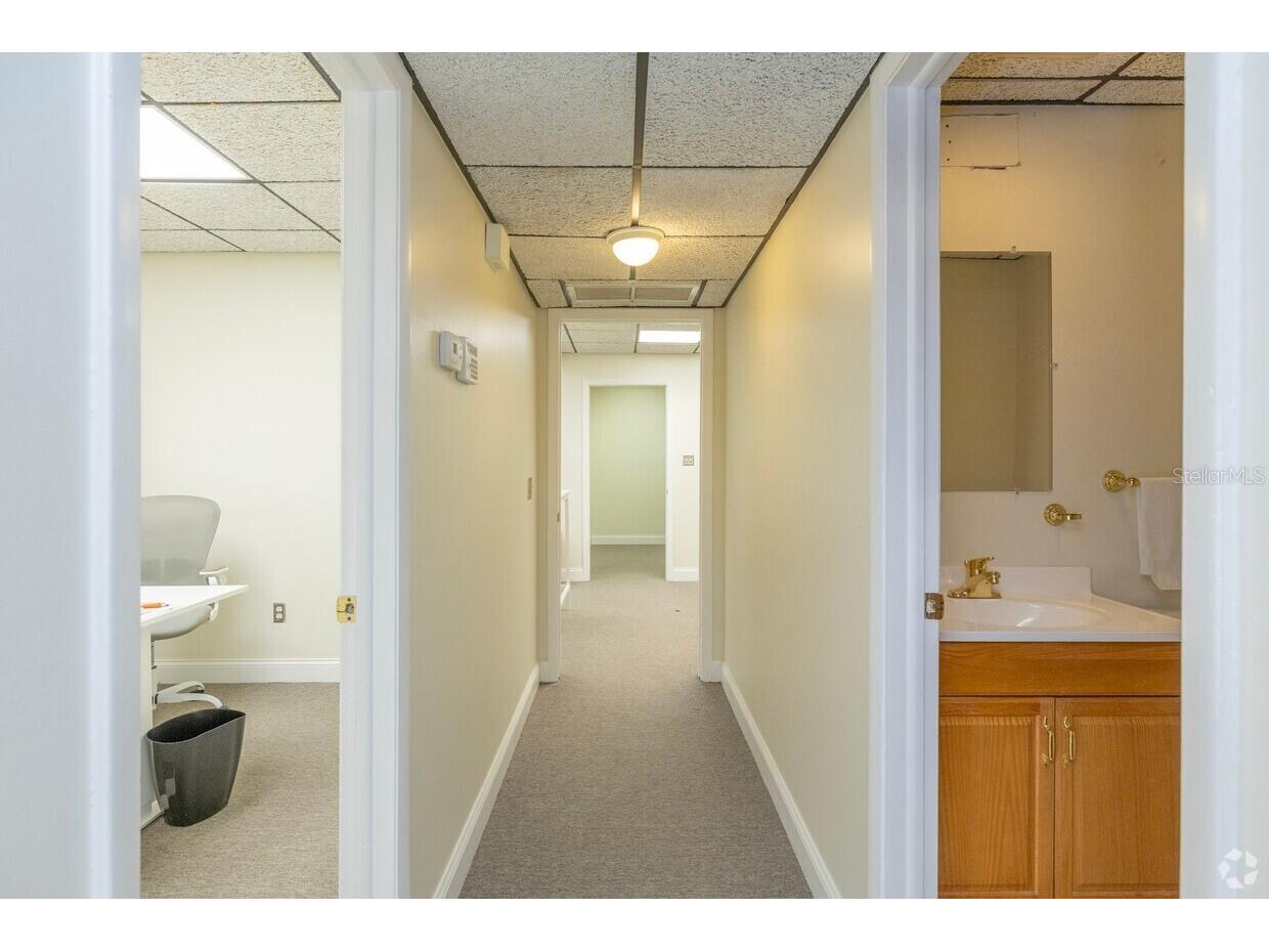 1207 N Himes Avenue #2 Tampa FL 33607 TB8424777 image12