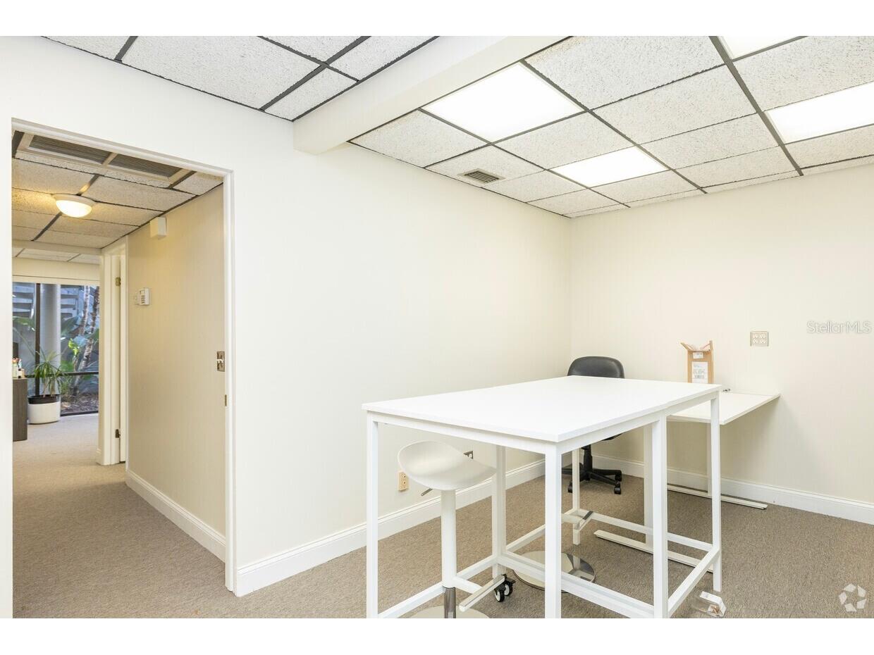 1207 N Himes Avenue #2 Tampa FL 33607 TB8424777 image15