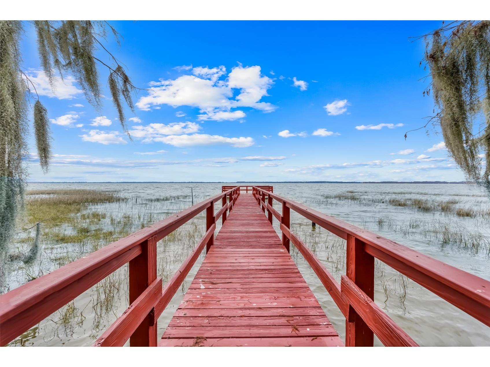 1207 Overlook Road Eustis FL 32726 - LAKE EUSTIS TB8462076 image38