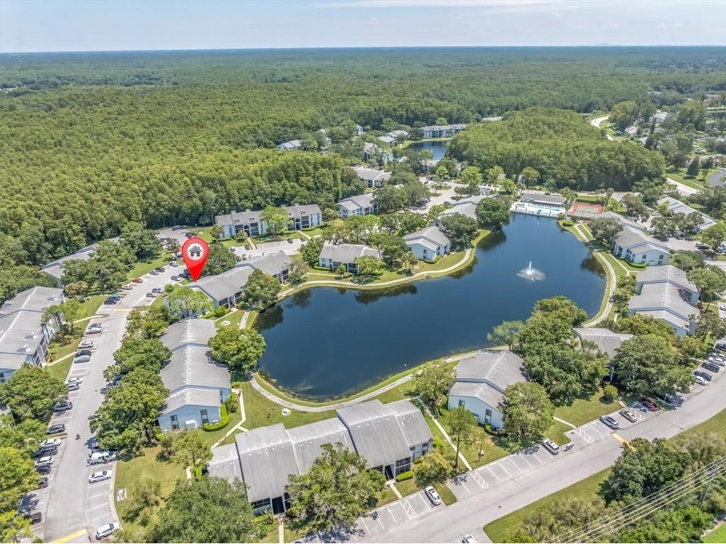 1207 Pine Ridge Circle W #H2 Tarpon Springs FL 34688 TB8422498 image2
