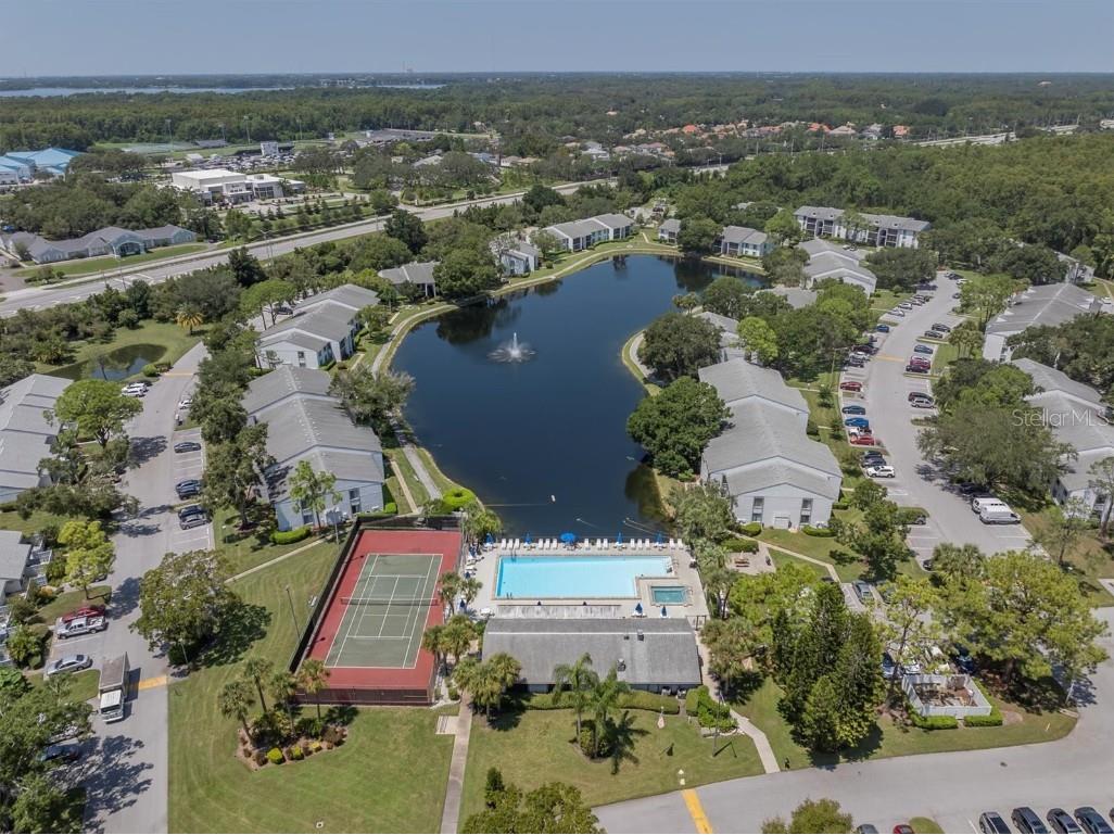 1207 Pine Ridge Circle W #H2 Tarpon Springs FL 34688 TB8422498 image26