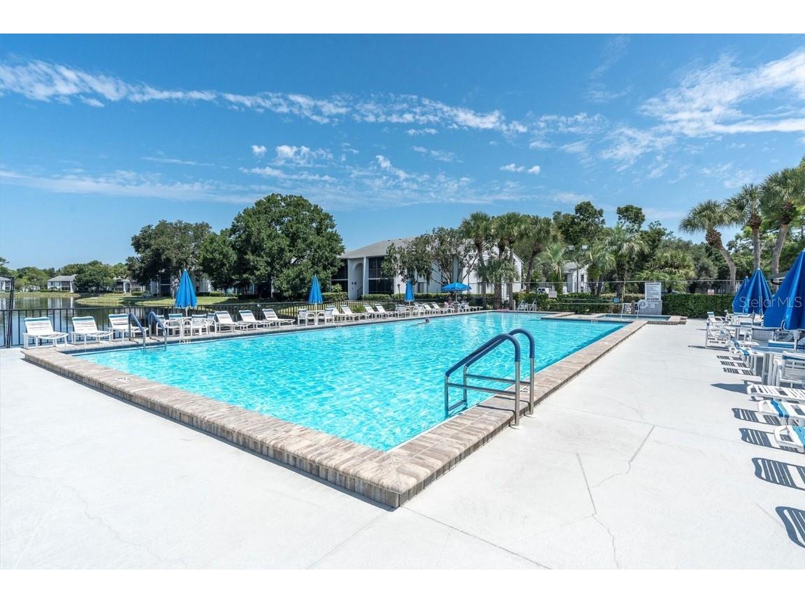 1207 Pine Ridge Circle W #H2 Tarpon Springs FL 34688 TB8422498 image28