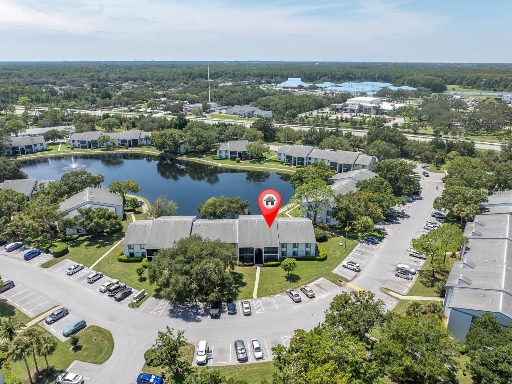 1207 Pine Ridge Circle W #H2 Tarpon Springs FL 34688 TB8422498 image33