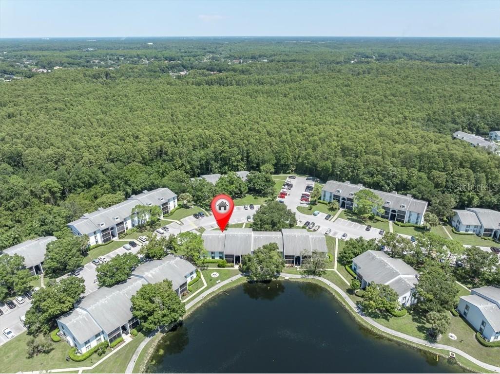 1207 Pine Ridge Circle W #H2 Tarpon Springs FL 34688 TB8422498 image34