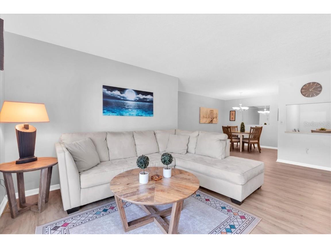 1207 Pine Ridge Circle W #H2 Tarpon Springs FL 34688 TB8422498 image5