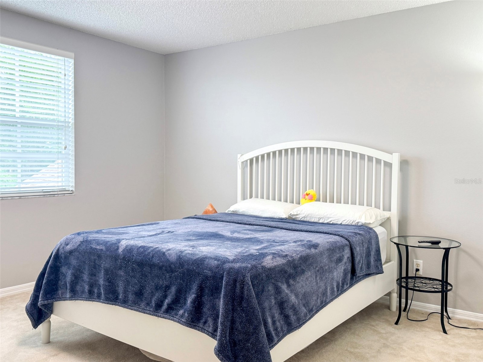 1207 Royal Saint George Drive Orlando FL 32828 O6396450 image21