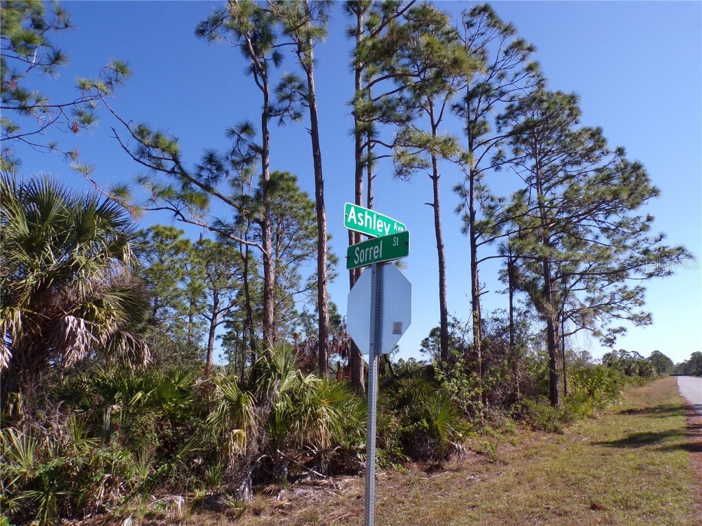 12070 Ashley Avenue Port Charlotte FL 33981 C7505068 image8