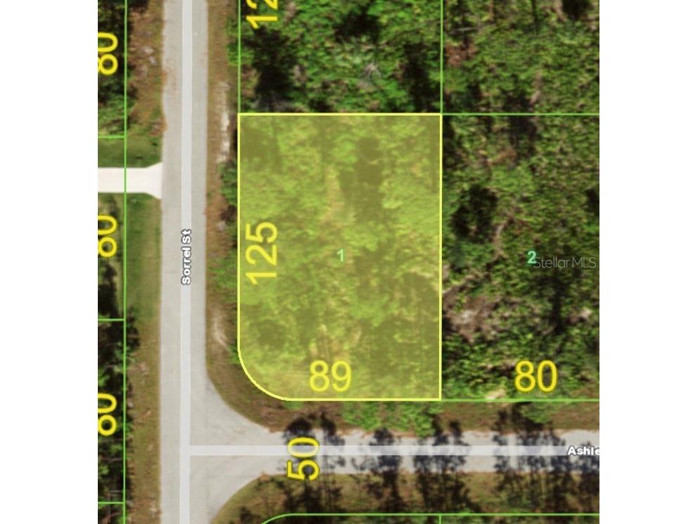 12070 Ashley Avenue Port Charlotte FL 33981 C7525363 image2