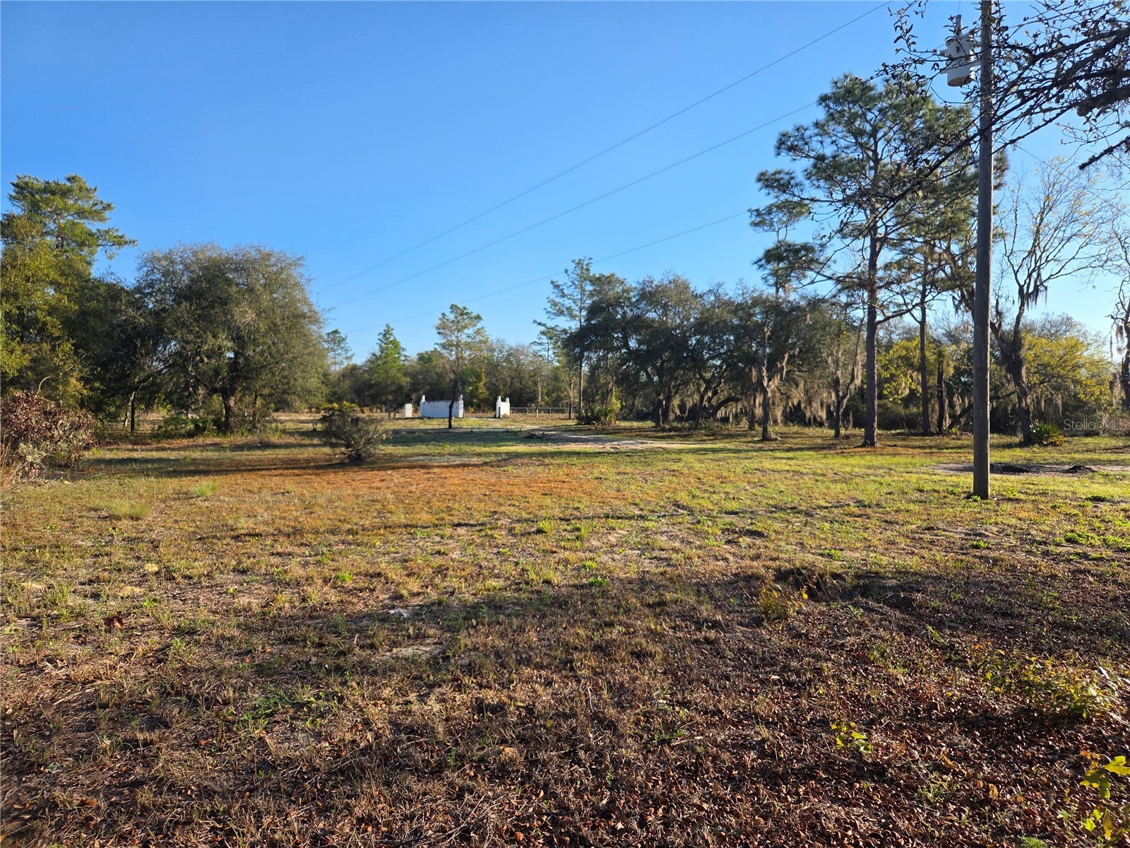 12070 NE 63rd Place Williston FL 32696 TB8489729 image32