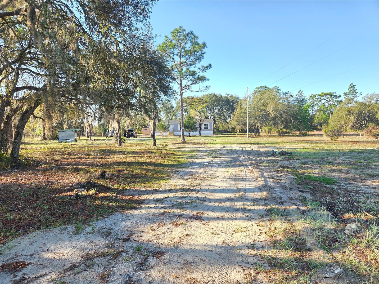 12070 NE 63rd Place Williston FL 32696 TB8489729 image34