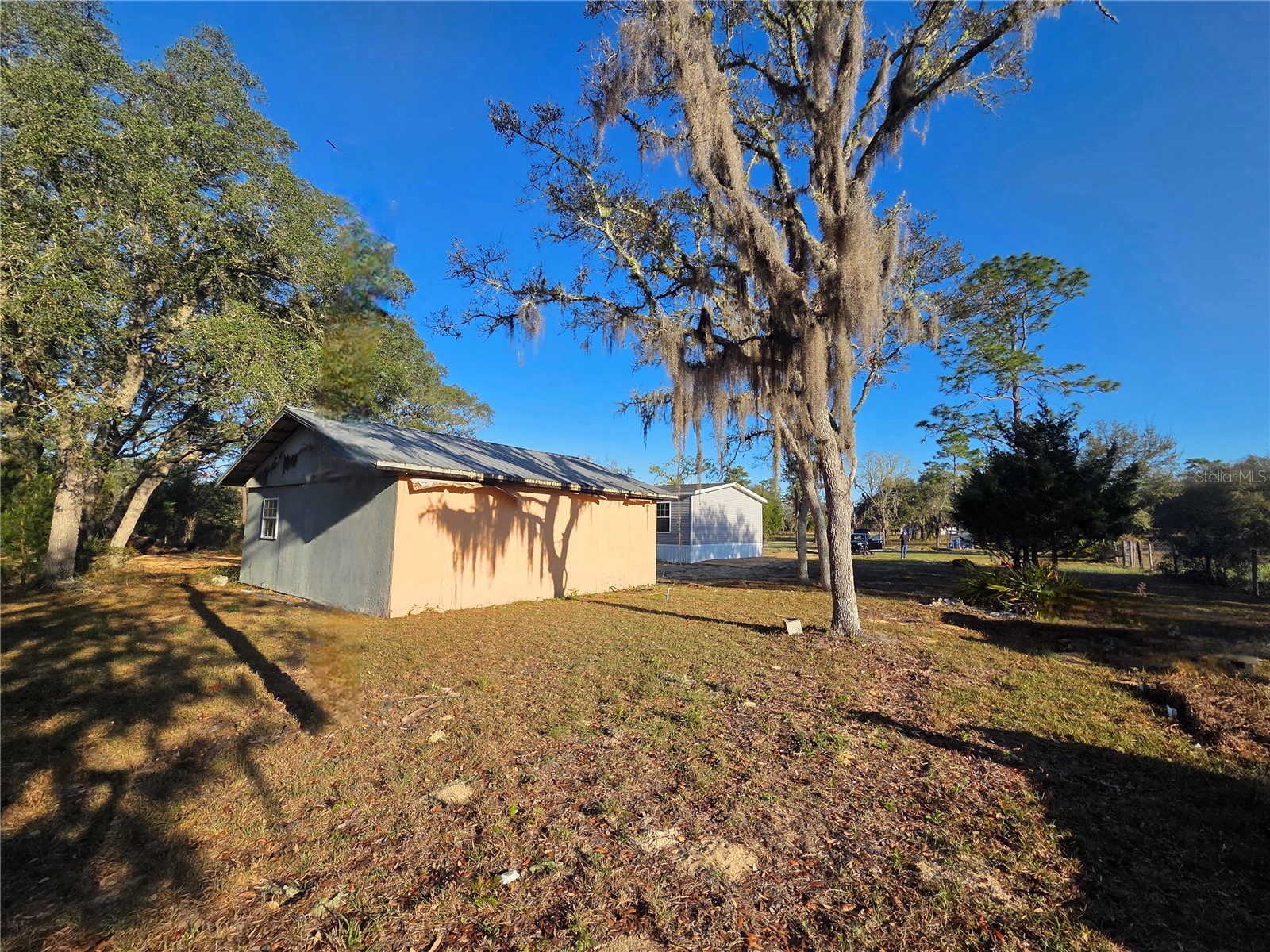 12070 NE 63rd Place Williston FL 32696 TB8489729 image38