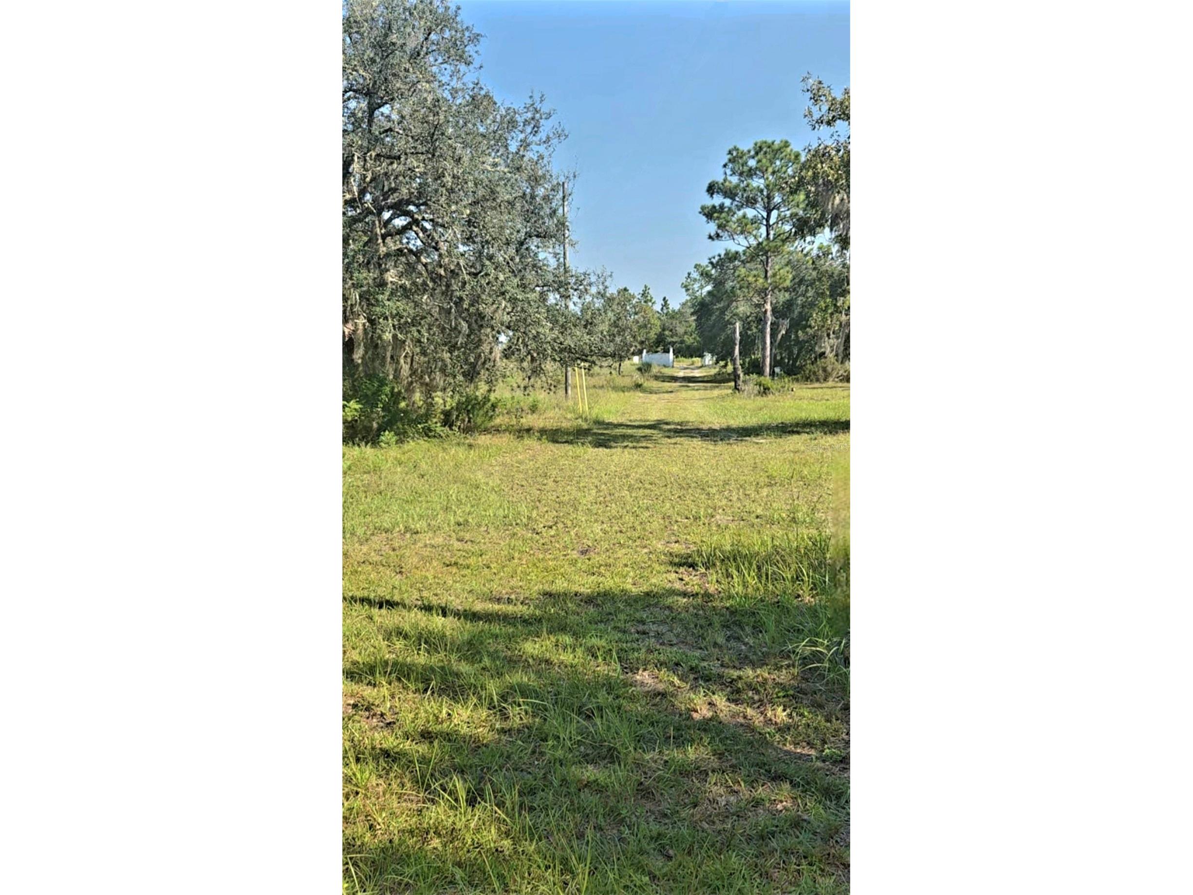 12070 NE 63rd Place Williston FL 32696 TB8489729 image42