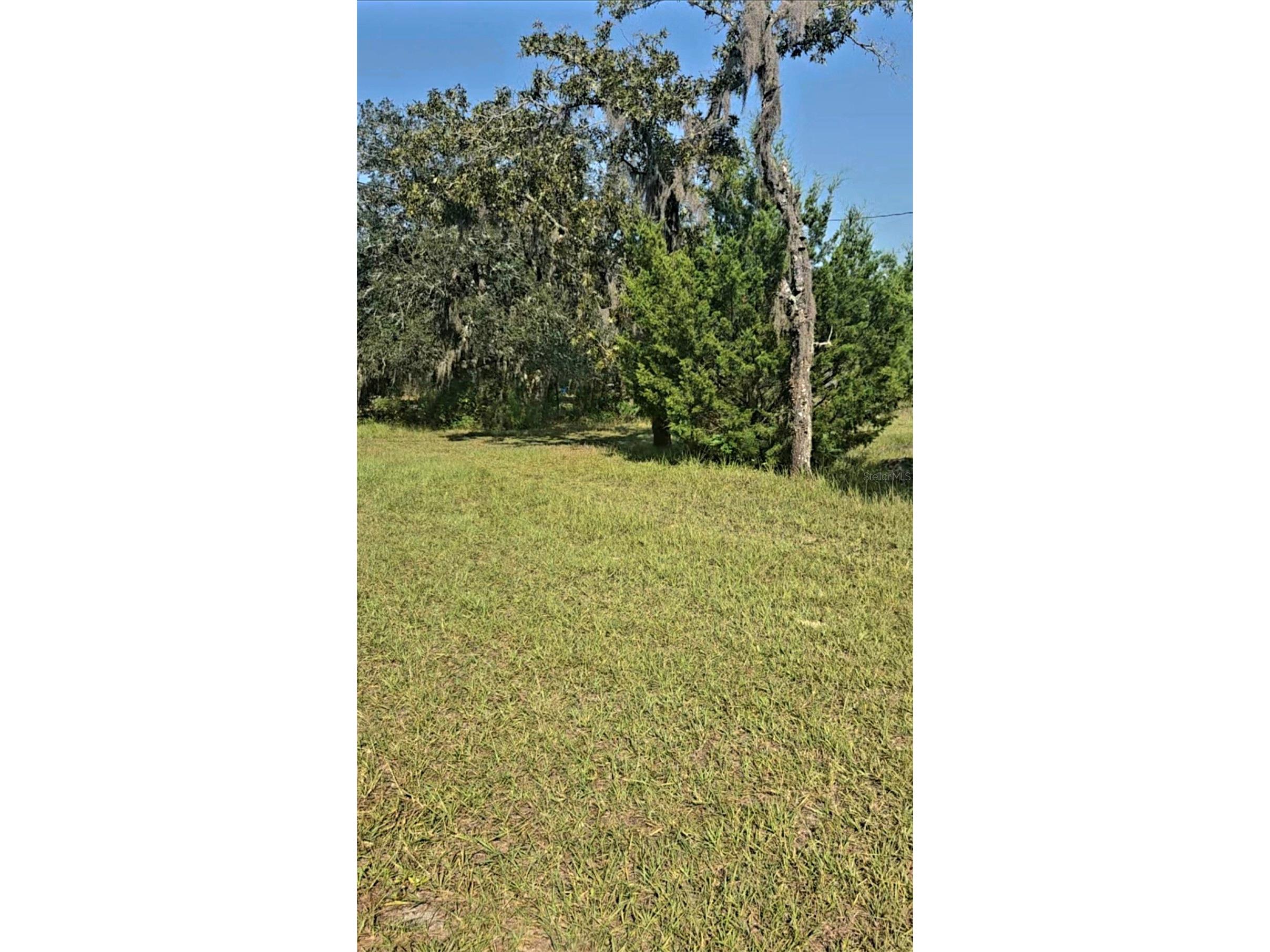 12070 NE 63rd Place Williston FL 32696 TB8489729 image43