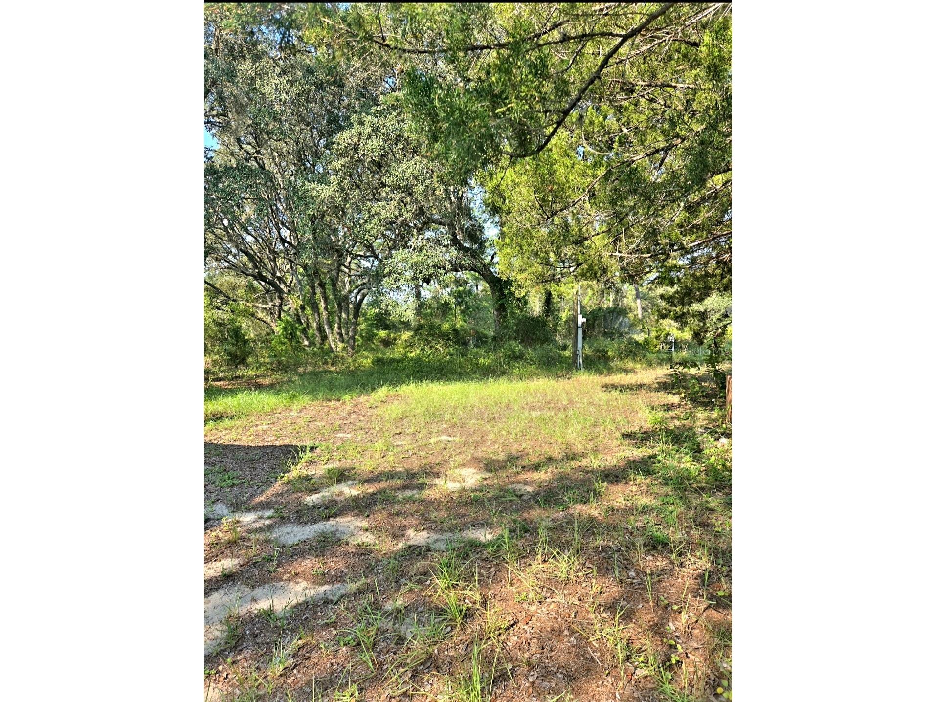 12070 NE 63rd Place Williston FL 32696 TB8489729 image44
