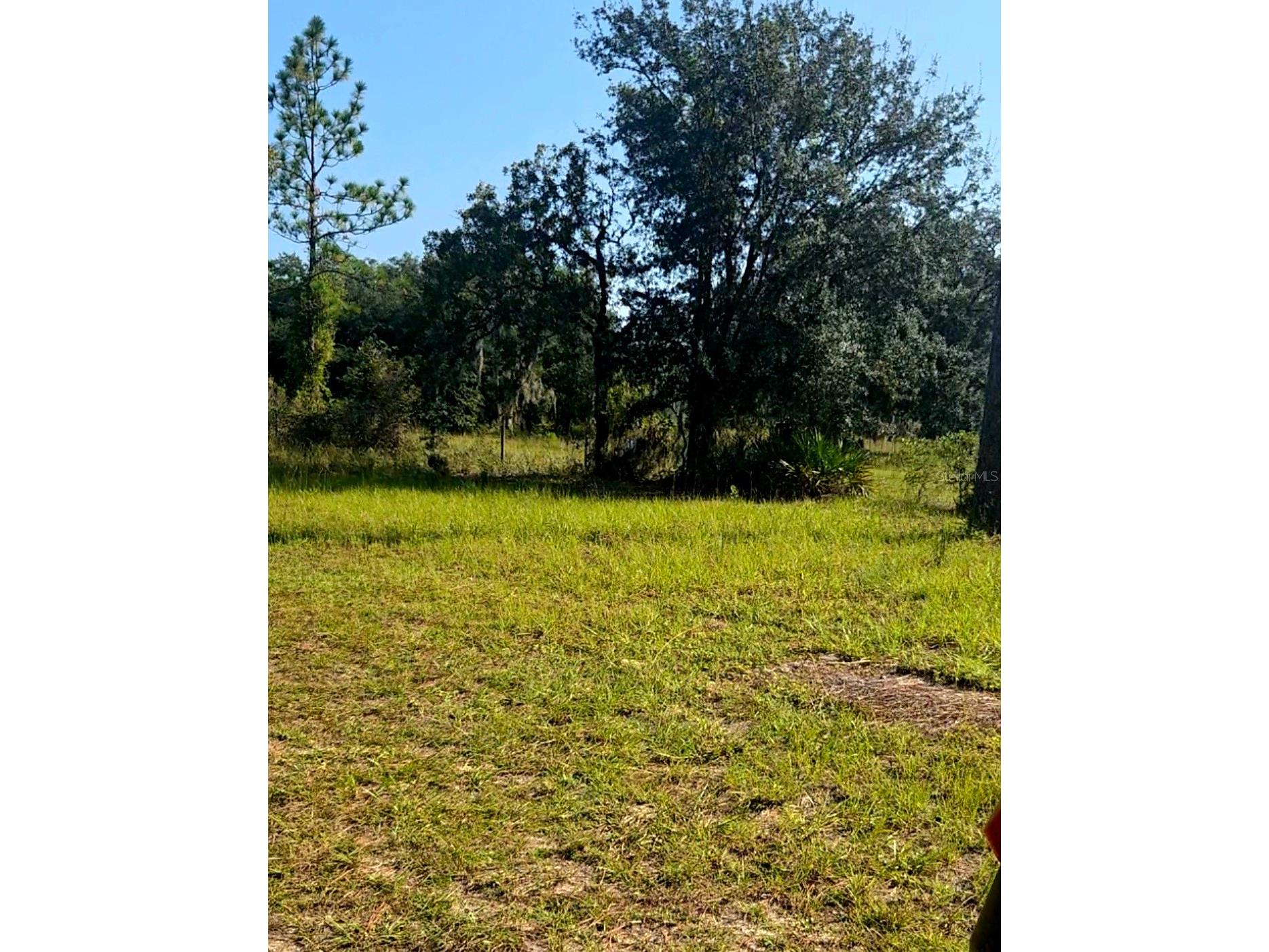 12070 NE 63rd Place Williston FL 32696 TB8489729 image45