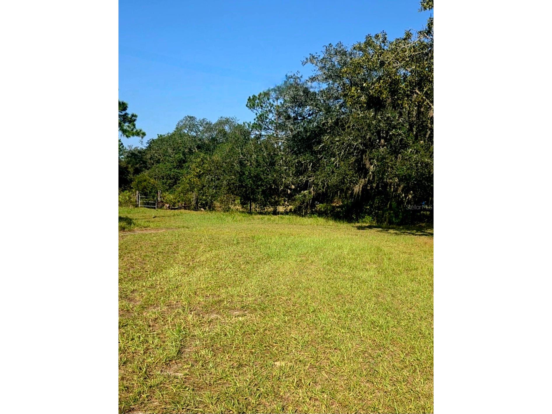 12070 NE 63rd Place Williston FL 32696 TB8489729 image47