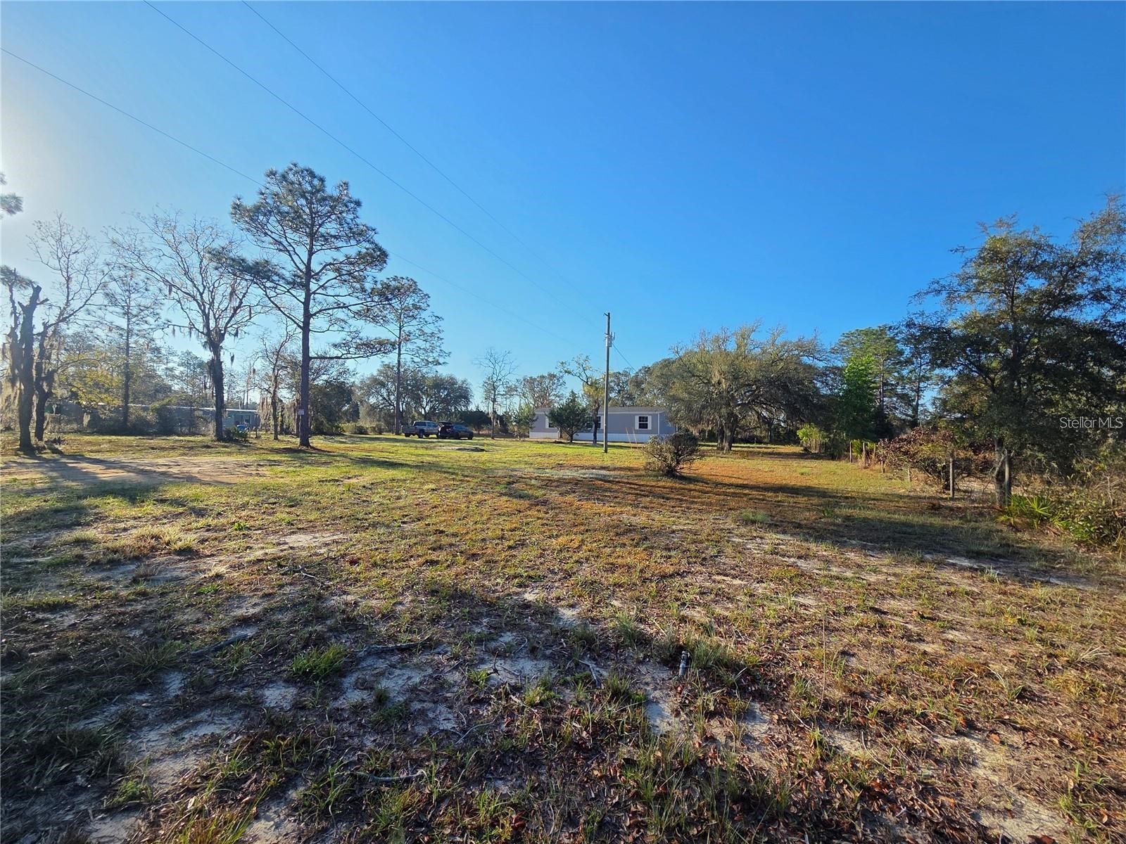 12070 NE 63rd Place Williston FL 32696 TB8512771 image35