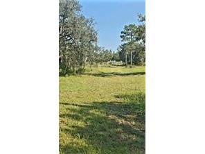 12070 NE 63rd Place Williston FL 32696 TB8512771 image43
